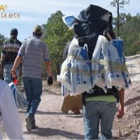 filtros-de-ultrafiltracion-microbiologica